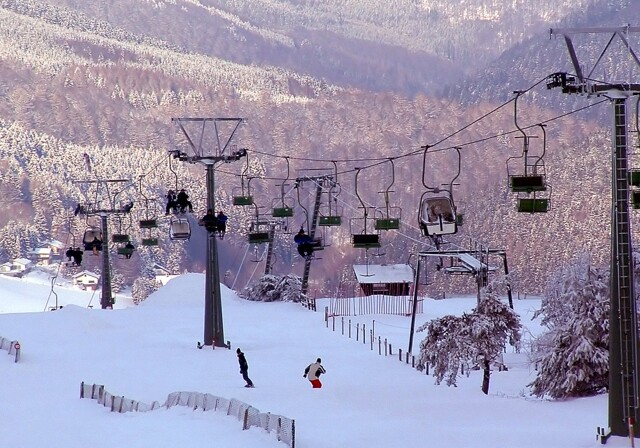 Skilifte fragter skiløbere op ad bjerget